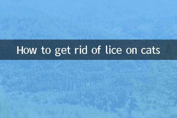 고양이의 이를 제거하는 방법