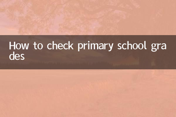 So überprüfen Sie Grundschulnoten