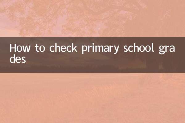 So überprüfen Sie Grundschulnoten