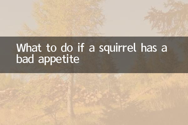 다람쥐가 식욕이 좋지 않으면 어떻게 해야 할까요?