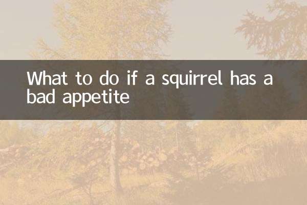 다람쥐가 식욕이 좋지 않으면 어떻게 해야 할까요?
