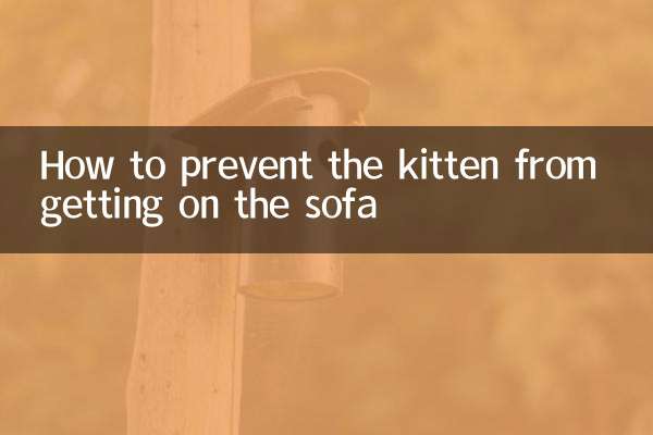 How to prevent the kitten from getting on the sofa