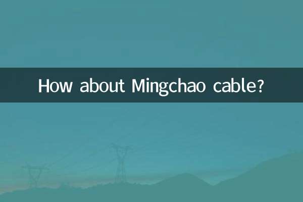Mingchao 케이블은 어떻습니까?