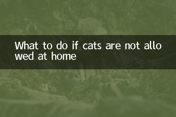 O que fazer se gatos não forem permitidos em casa
