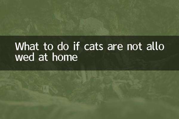 Cosa fare se i gatti non sono ammessi in casa