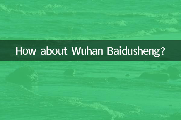 ووہان بائیڈوشینگ کے بارے میں کیا خیال ہے؟