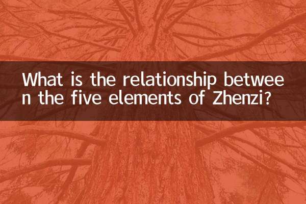 ¿Cuál es la relación entre los cinco elementos de Zhenzi?