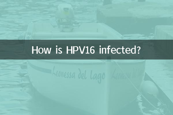 HPV16 कैसे संक्रमित होता है?