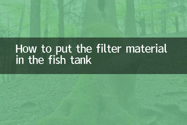 Como colocar o material filtrante no aquário