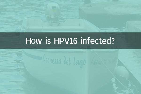 HPV16은 어떻게 감염되나요?
