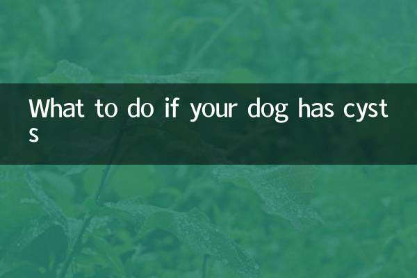 Qué hacer si tu perro tiene quistes