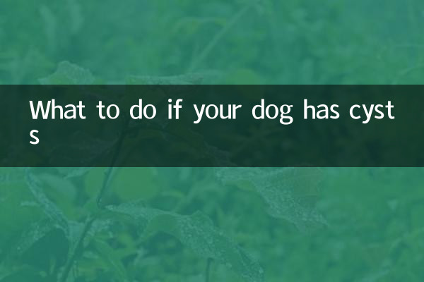 O que fazer se seu cachorro tiver cistos