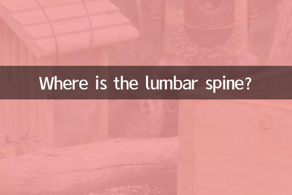 Où est la colonne lombaire ?