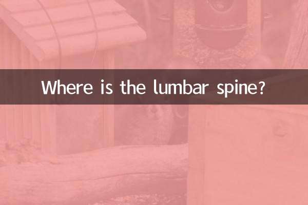 Où est la colonne lombaire ?
