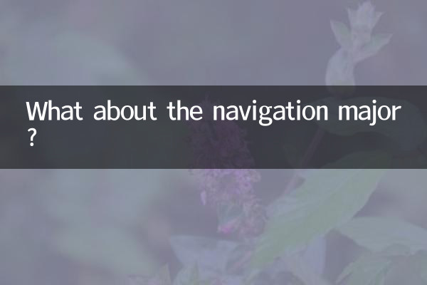 E quanto ao curso de navegação?