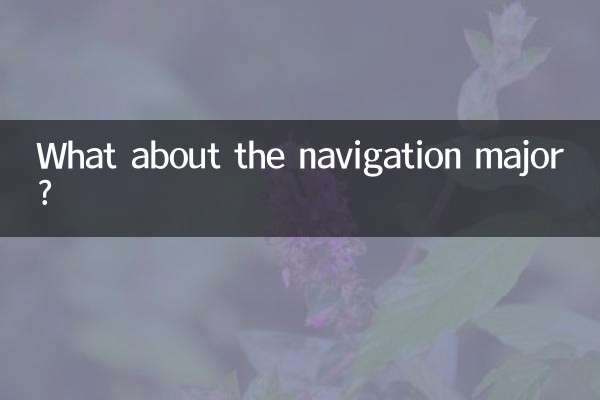 নেভিগেশন প্রধান সম্পর্কে কি?