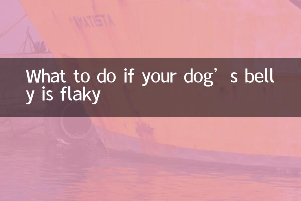 강아지의 배가 헐거워지면 어떻게 해야 할까요?