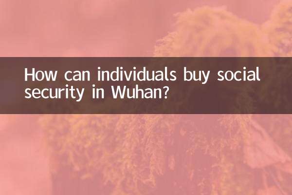 個人怎麼在武漢買社保