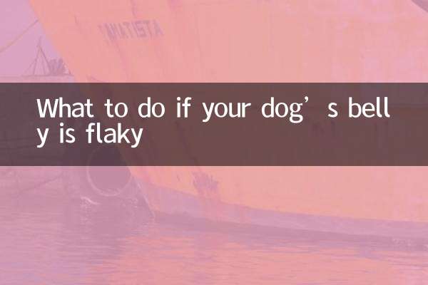 O que fazer se a barriga do seu cachorro estiver escamosa