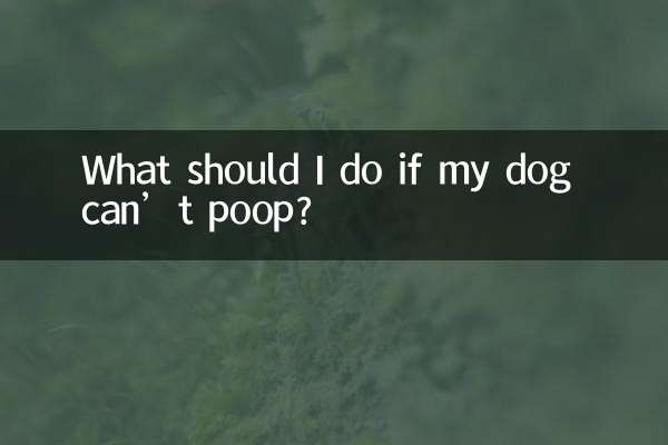 What should I do if my dog can’t poop?