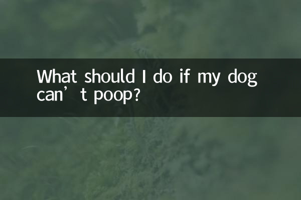 What should I do if my dog can’t poop?