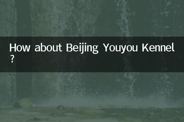 ¿Qué tal la perrera Youyou de Beijing?