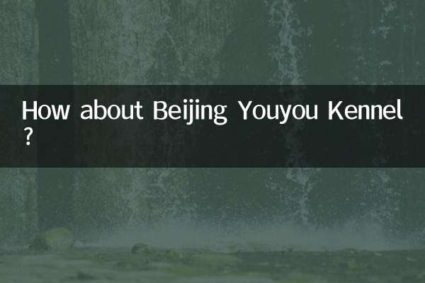 ¿Qué tal la perrera Youyou de Beijing?