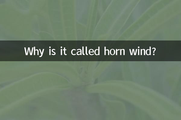 Почему его называют «роговым ветром»?