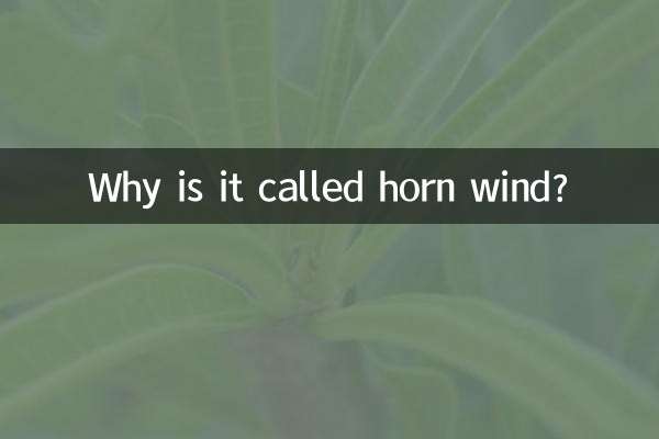 Warum heißt es Hornwind?