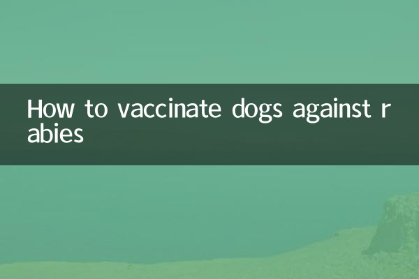 How to vaccinate dogs against rabies