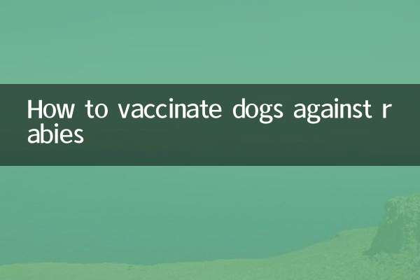 How to vaccinate dogs against rabies
