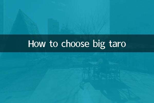 How to choose big taro
