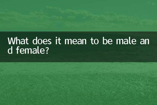 ماذا يعني أن تكون ذكراً وأنثى؟