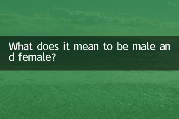 ماذا يعني أن تكون ذكراً وأنثى؟