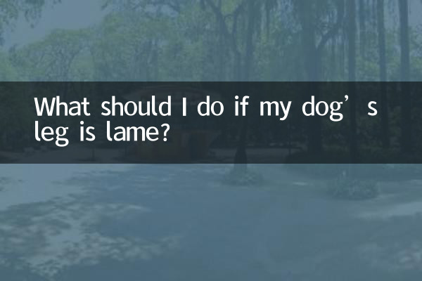 狗狗腿瘸了怎麼辦