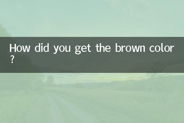 브라운 컬러는 어떻게 구하셨나요?
