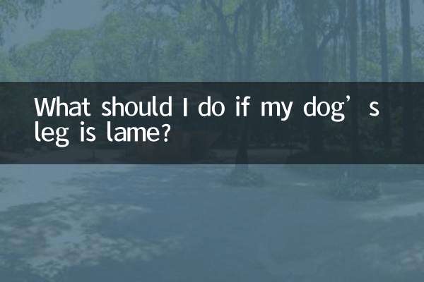 狗狗腿瘸了怎麼辦