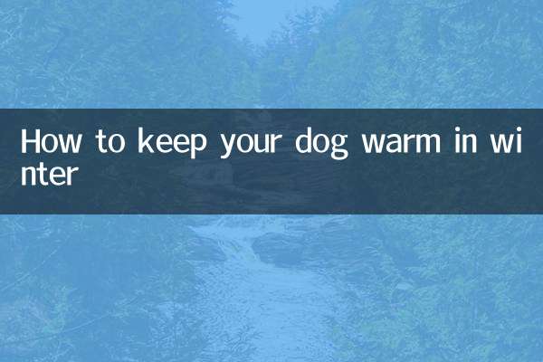 Como manter seu cachorro aquecido no inverno