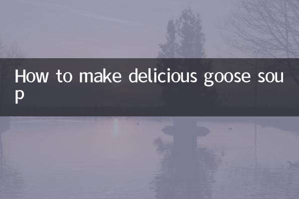 おいしいガチョウスープの作り方