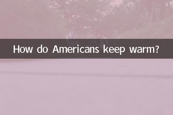 미국인들은 어떻게 따뜻하게 지내나요?