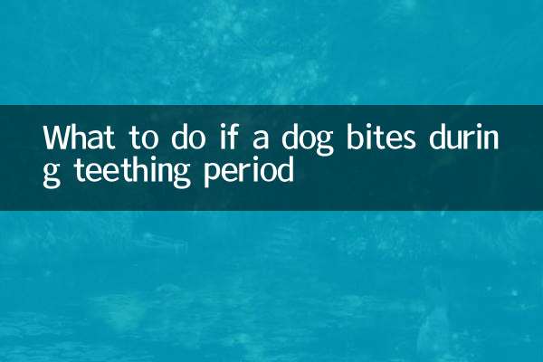 歯が生える時期に犬が噛んだ場合の対処法