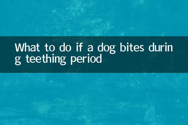 ماذا تفعل إذا عض كلب أثناء فترة التسنين؟
