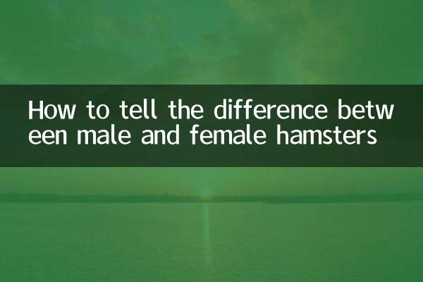 一線倉鼠怎麼分辨公母