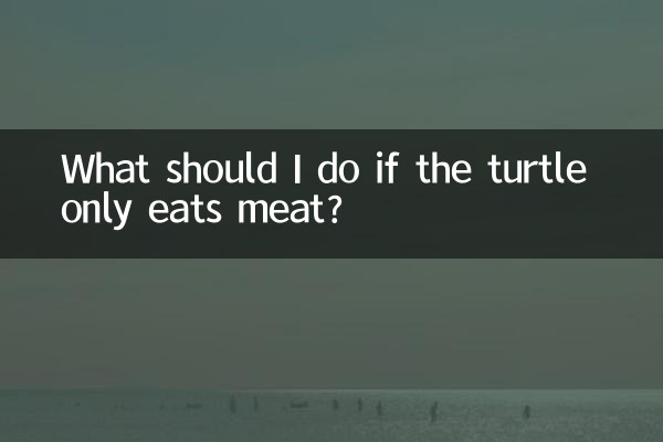 यदि कछुआ केवल मांस खाता है तो मुझे क्या करना चाहिए?