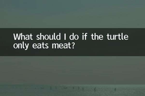 यदि कछुआ केवल मांस खाता है तो मुझे क्या करना चाहिए?
