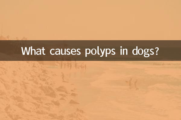 Qu'est-ce qui cause les polypes chez le chien ?