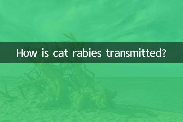 Как передается кошачье бешенство?