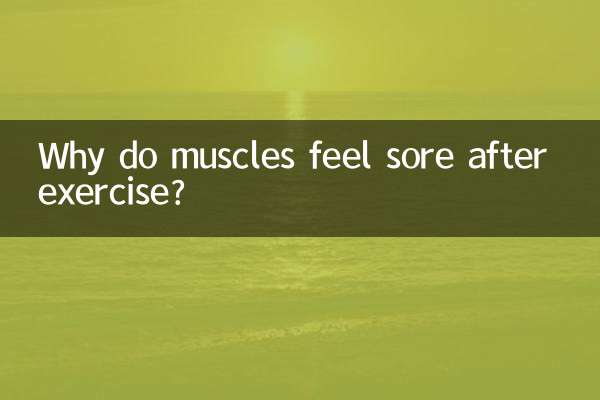 运动后肌肉为什么会酸痛