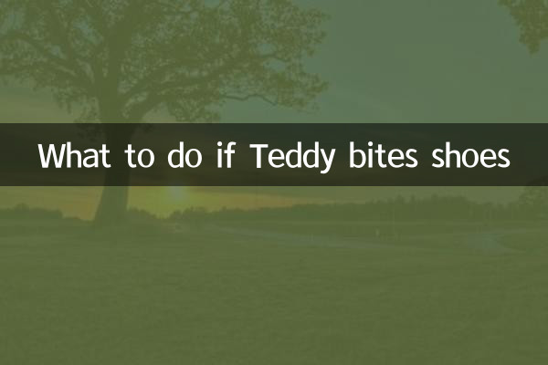 泰迪咬鞋子怎么办