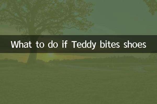 泰迪咬鞋子怎么办